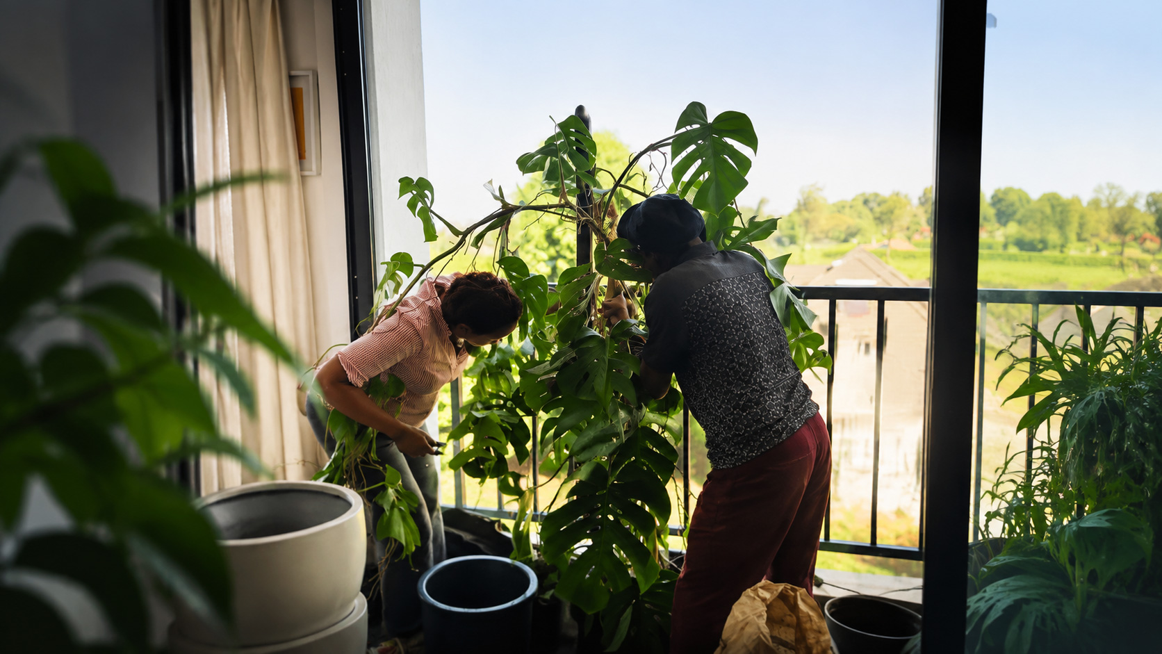 Plant Consultation
